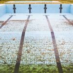 Biaya Perawatan Kolam Renang Murah